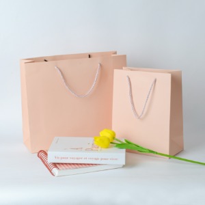 핑크 베이지 무광 종이쇼핑백 (10매)여성의류 백화점 장난감 기프트백 화장품