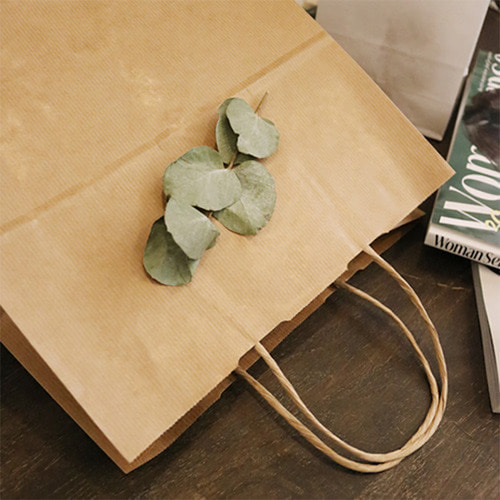 뉴크라프트 종이쇼핑백 (10매)3가지 사이즈 골지 빈티지 예쁜 답례품 선물 포장 봉투